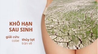 Sau sinh bị khô hạn nên bổ sung gì? 