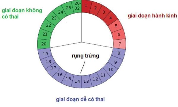 Việc nắm được thời kỳ rụng trứng sẽ giúp cơ hội sinh con gái của bạn cao hơn